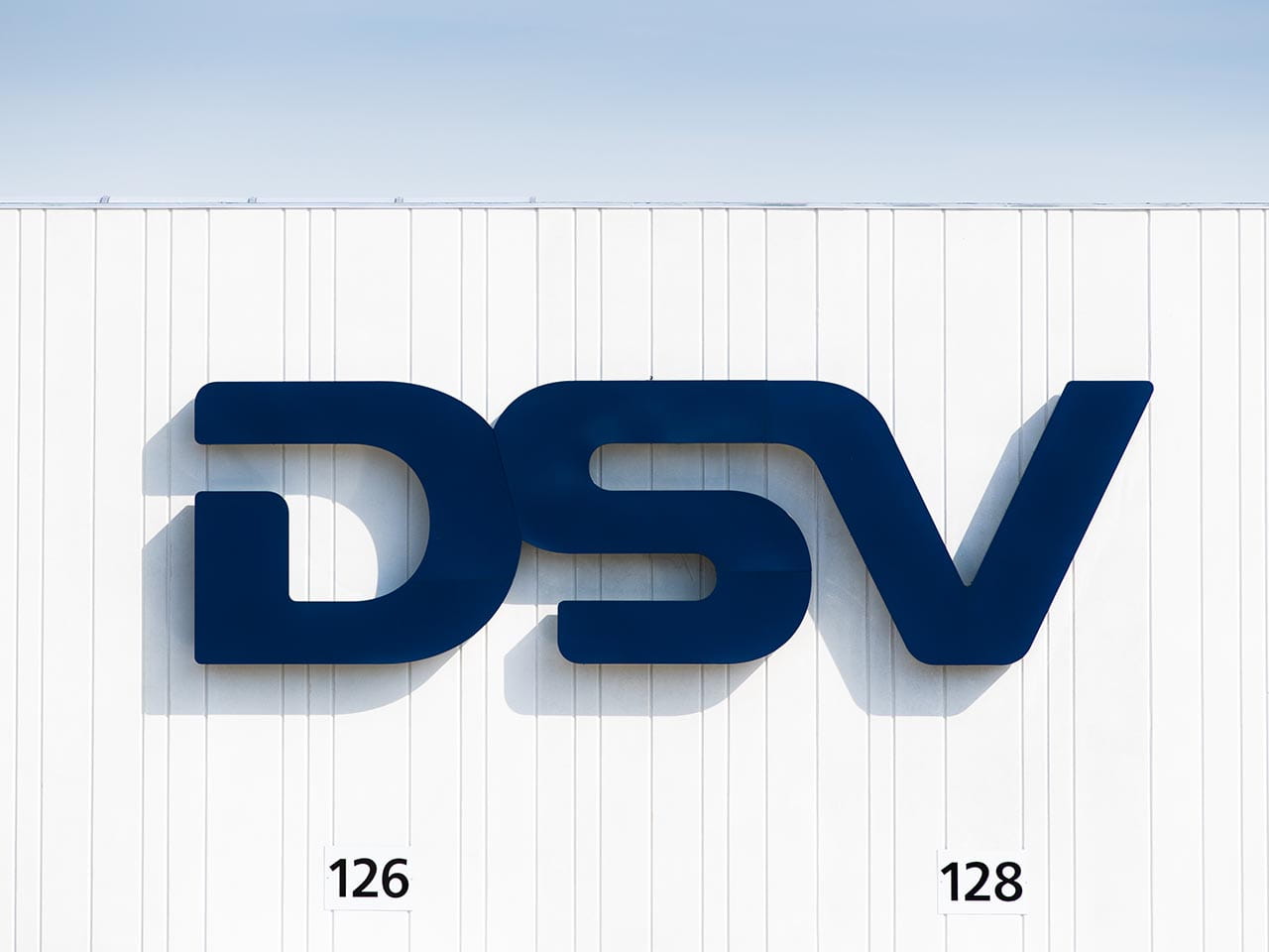 DSV annual report